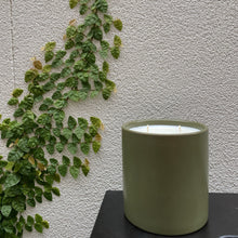 Load image into Gallery viewer, LACERA Moss