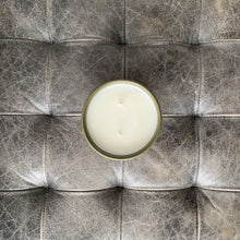 Load image into Gallery viewer, LACERA Moss